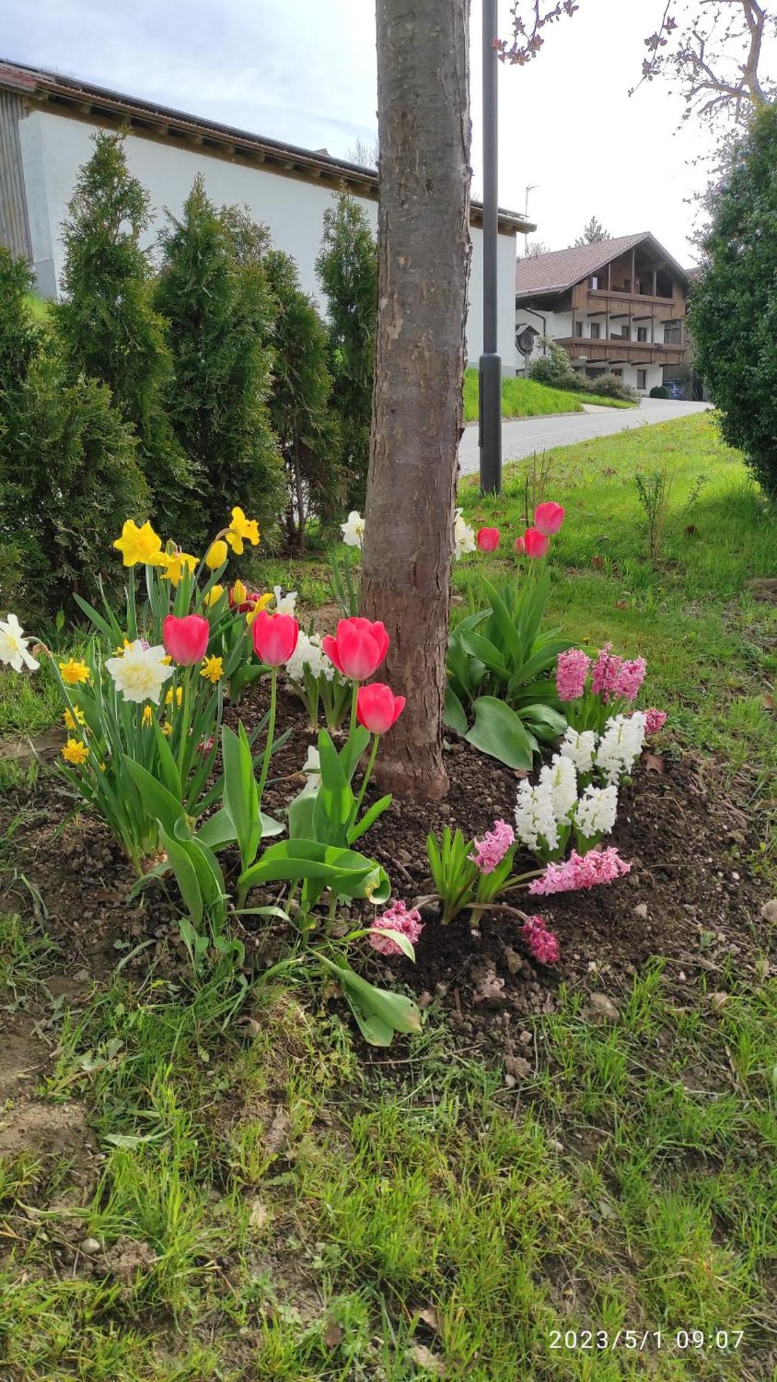 Ferienhaus Am Bach Achslach المظهر الخارجي الصورة