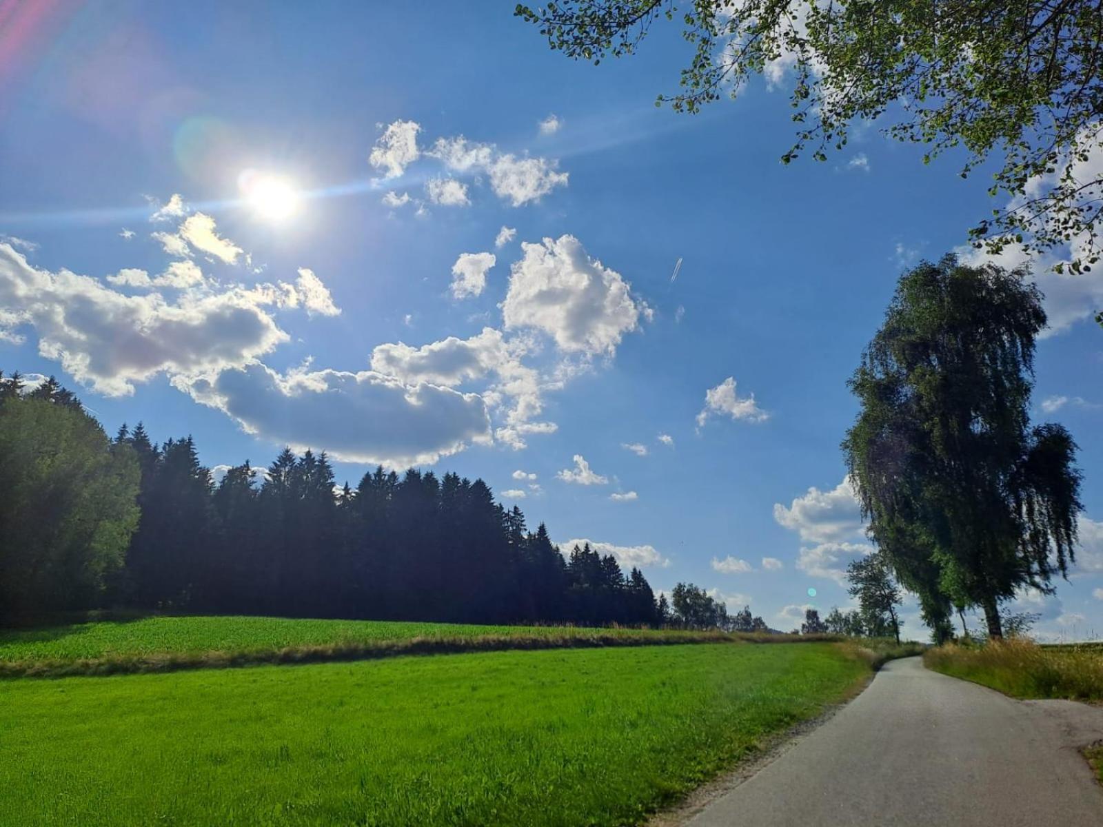Ferienhaus Am Bach Achslach المظهر الخارجي الصورة