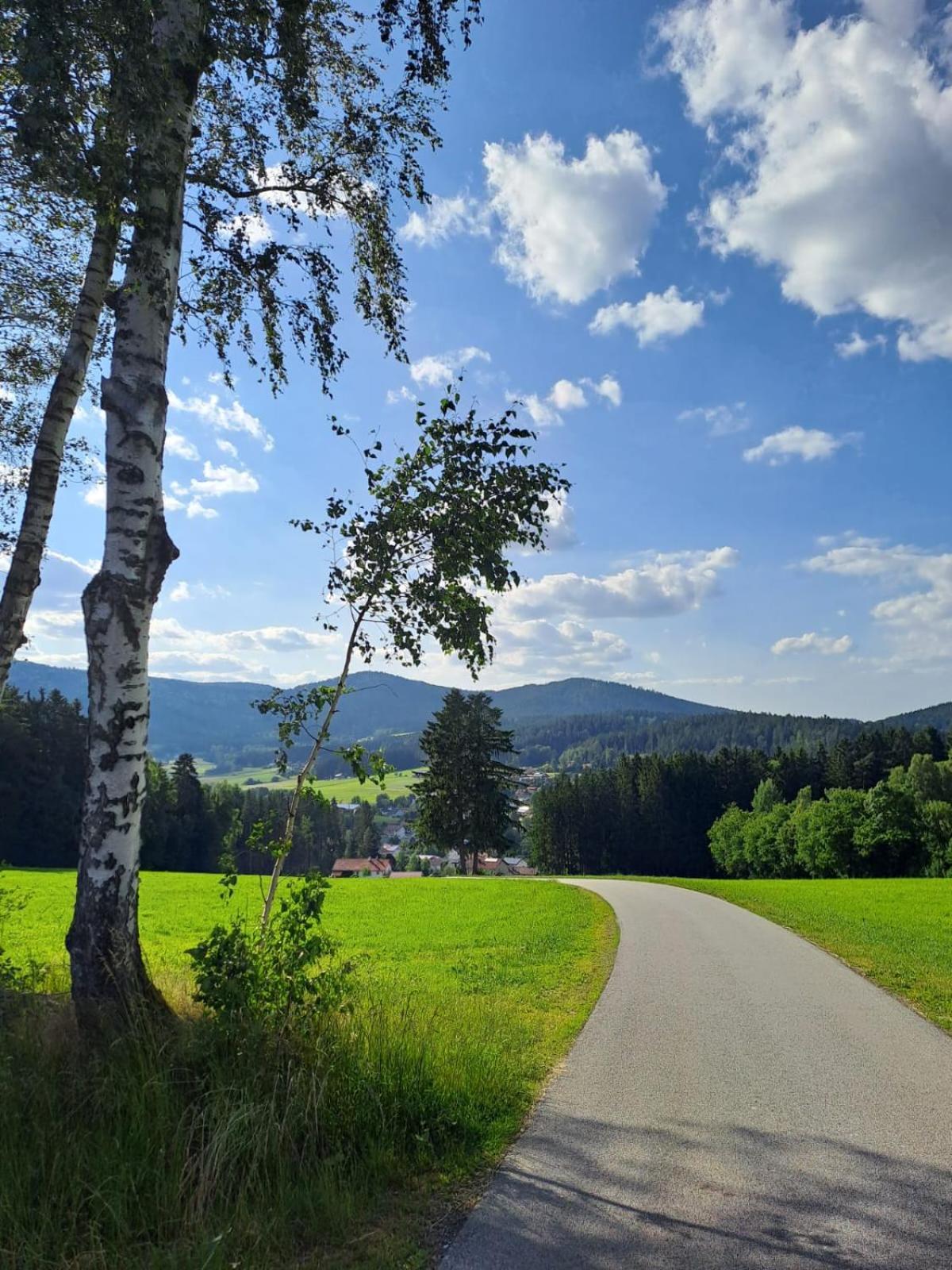 Ferienhaus Am Bach Achslach المظهر الخارجي الصورة