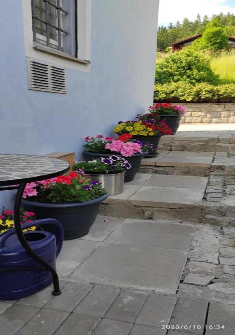 Ferienhaus Am Bach Achslach المظهر الخارجي الصورة